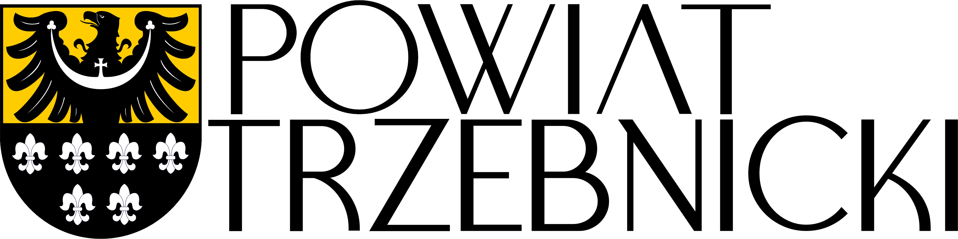 Wybory Młodzieżowej Rady Powiatu Trzebnickiego